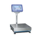 TT LCD Backlit Display 300kg Bench Weighing Scale supplier