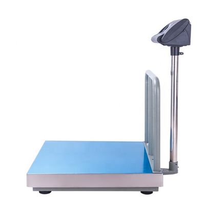 CHTCS-PS Waterproof Digital Back Rail 500kg Platform Bench Scale supplier